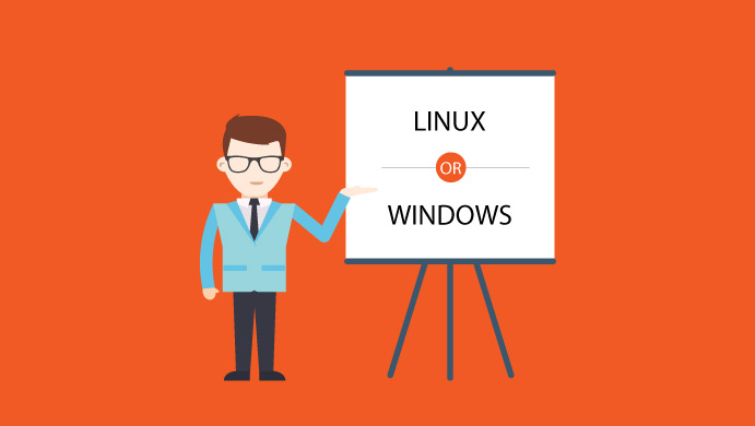 Windows ή Linux server
